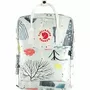 KANKEN (6)